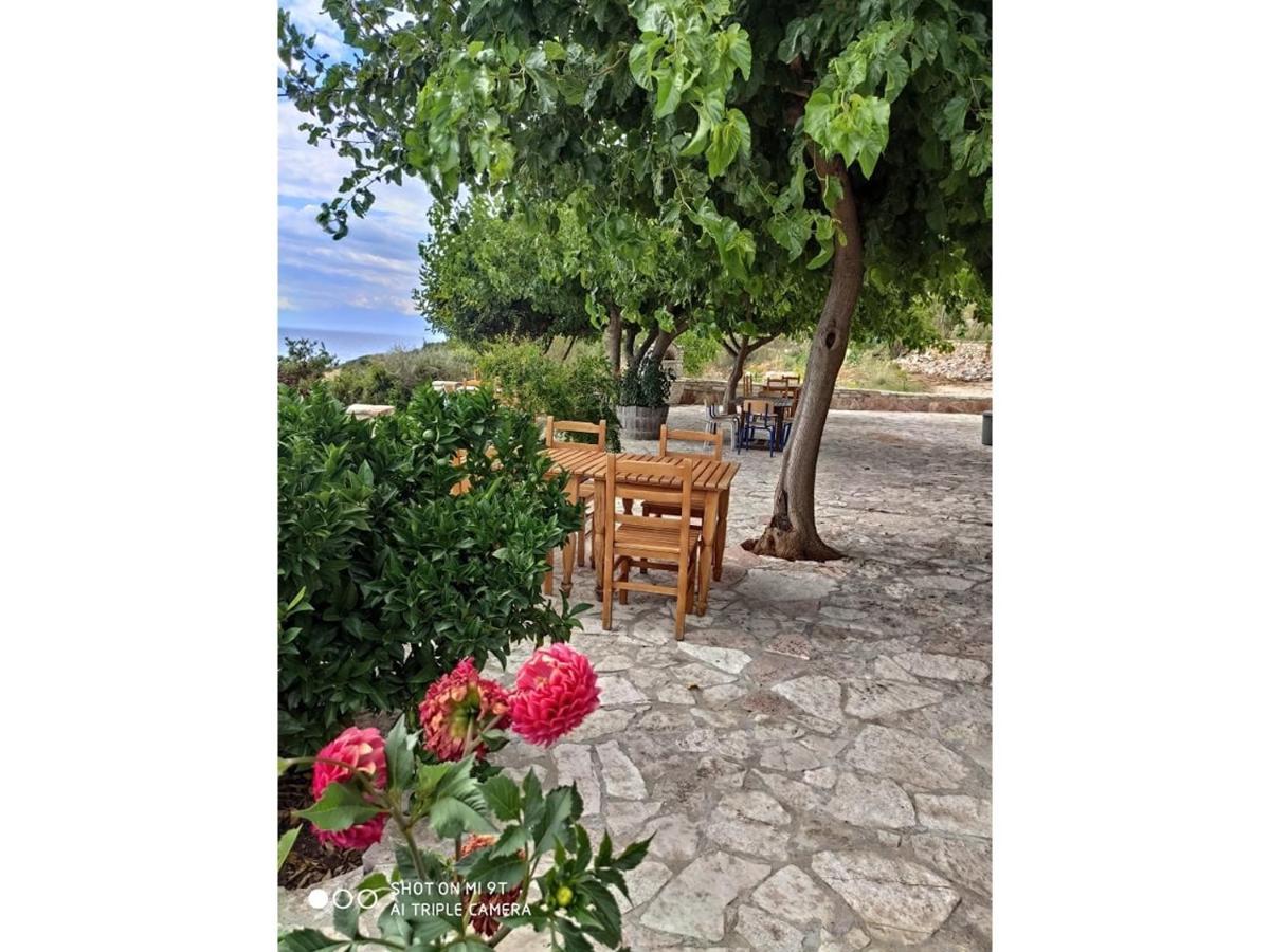 קסאמיל John'S Guesthouse מראה חיצוני תמונה